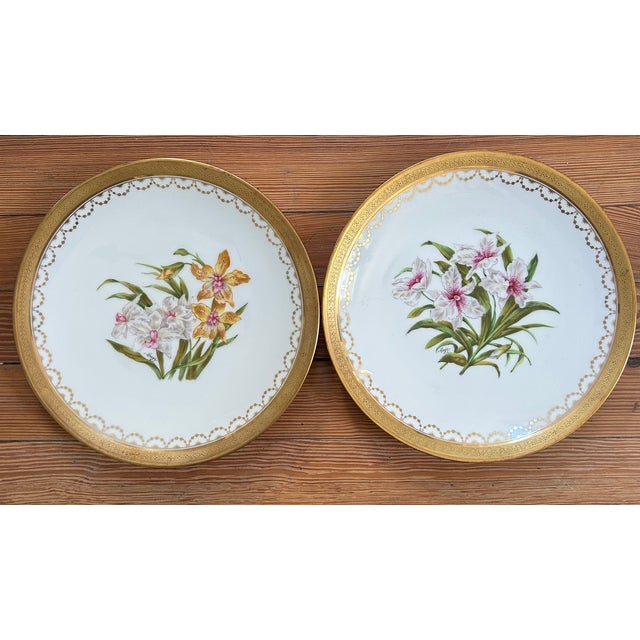 Set of 10 Antique T&v Limoges Hand-Painted Orchid Cabinet Plates for Ovington Bros., Circa 1895 For Sale In Washington DC - Image 6 of 12