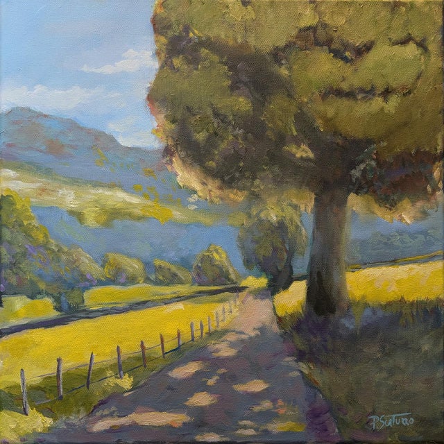 This 18x18" landscape oil painting by Paul Scaturro captures a quiet, sunlit moment along a country path—an image that...