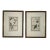 Antique Custom Framed Botanical Engravings - a Pair For Sale