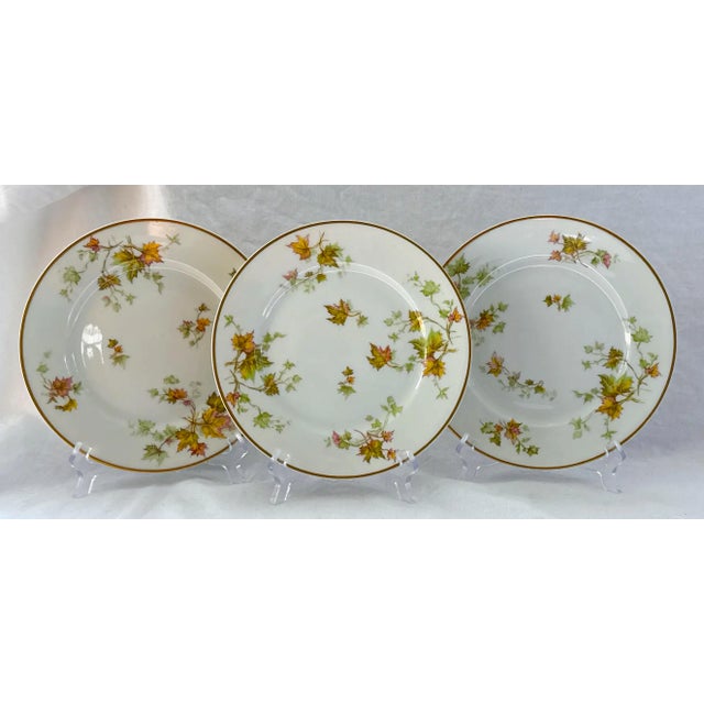 Shabby Chic French Haviland Limoges Autumn Leaf Gold Trimmed Lunch Plates - Set of 6 For Sale - Image 3 of 10