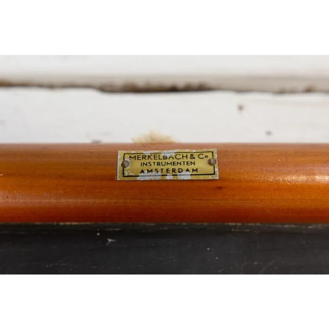 Human Anatomy Posters from allardi Publisher, 1950s, Set of 2 For Sale - Image 6 of 10