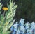 American Achillea Moonshine Floral by Eleanor Perry For Sale - Image 3 of 4