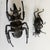 Meticulously caste with fine detail. 2 insect specimens. each piece is articulated with moving parts. Very realistic. The...