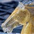 Horse Head in Murano Glass from YourMurano For Sale - Image 6 of 8