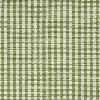 Schumacher Barnet Cotton Check Fabric in Leaf For Sale