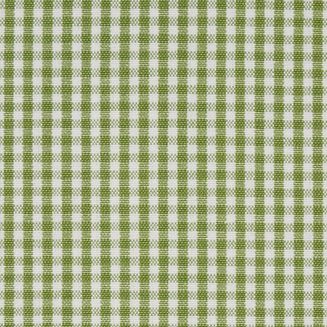 Schumacher Barnet Cotton Check Fabric in Leaf For Sale