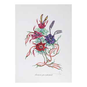 Anemone Per Anti-Pasti From Florals, 1972 Signed Lithograph by Salvador Dali