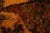 Brown The Burlwood Co. Star Dust Redwood Burl Live Edge Coffee Table For Sale - Image 8 of 18