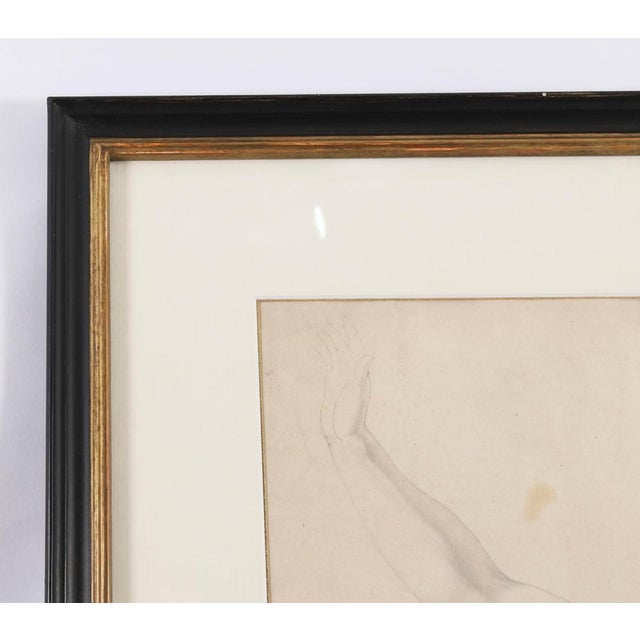 After Raphael, Figural Nude Study, Late 19th Century, Antique Drawing on Paper For Sale - Image 5 of 10