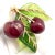Vintage Tiffany & Co. France Diamond Plique a Jour Glass Cherries Gold Brooch For Sale - Image 16 of 16