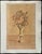 Giorgio Morandi (1890-1964) "Fiori" (Flowers) Colour Photo-lithograph on thick cotton handmade paper Dated in the plate...