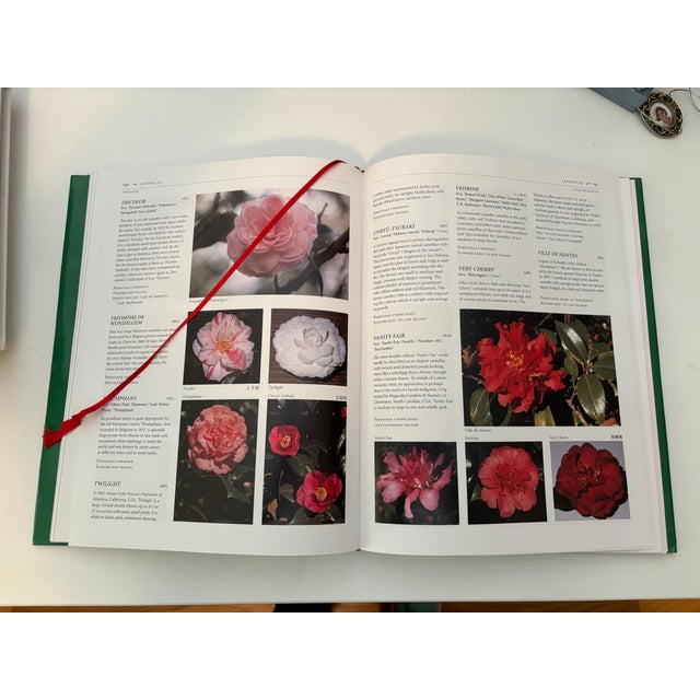1990s Sterling Macaboy"s "The Illustrated Encyclopedia of Camellias" For Sale In Los Angeles - Image 6 of 9