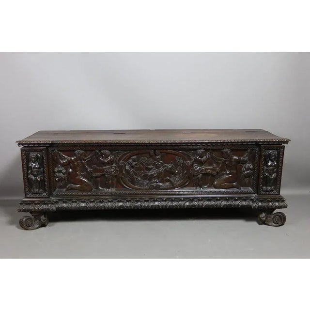 Walnut 19th Century Walnut Cassone Chest For Sale - Image 12 of 12