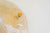 Murano Glass Flush Mount with Brass Base from Sylcom Lighting, Venice, Italy, 1990s For Sale - Image 4 of 14
