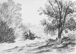 Print Collection "Landscape Study" Contemporary Original Black and White Print on Paper