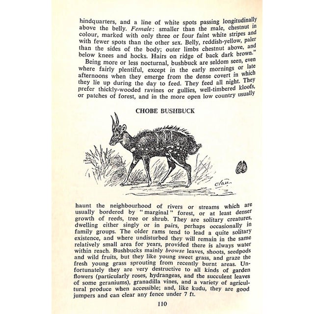 "The Game Animals of Southern Africa" 1963 Maberly C. T. Astley For Sale In New York - Image 6 of 10