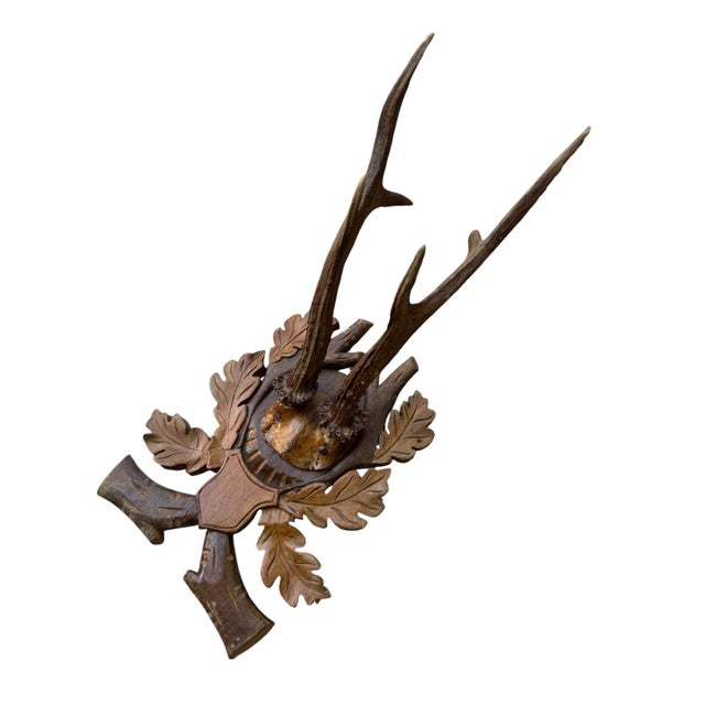 Cabin Roe Deer Trophy 132 Black Forest Antlers For Sale - Image 3 of 5