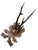 Cabin Roe Deer Trophy 132 Black Forest Antlers For Sale - Image 3 of 5