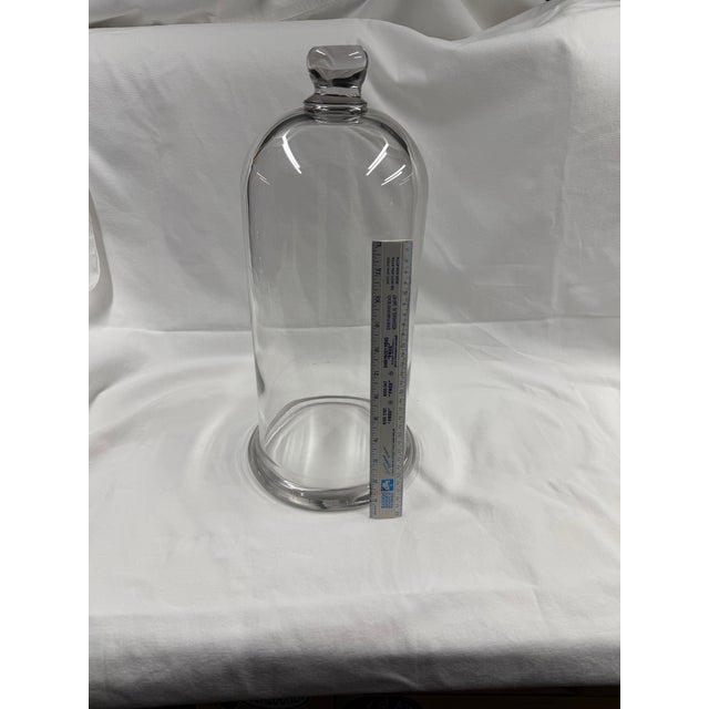 Early 20th Century Glass Cloche For Sale - Image 11 of 11