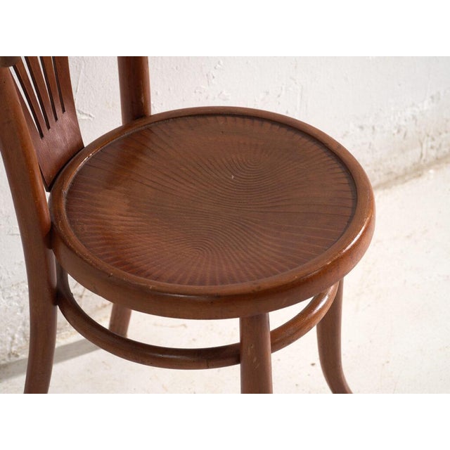 Bentwood Chairs in the style of Thonet, Hungary, 1960, Set of 2 For Sale - Image 14 of 15