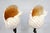 Sculpture Pair Antique Shells For Sale - Image 11 of 14