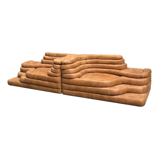 Modern Model DS1025 Modular Sofa in Brown Leather by Ubald Klug for de Sede, 2000s For Sale