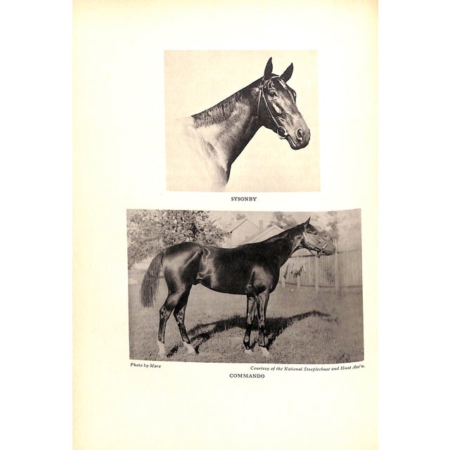 "Full Tilt: The Sporting Memoirs of Foxhall Keene" Book 1938 For Sale - Image 9 of 12