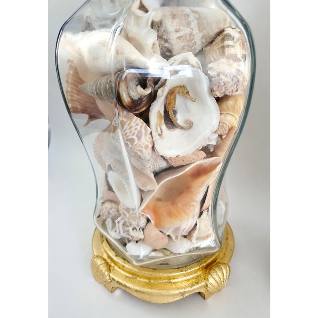 Lamp Pair Seashells Shells Restored For Sale - Image 9 of 12