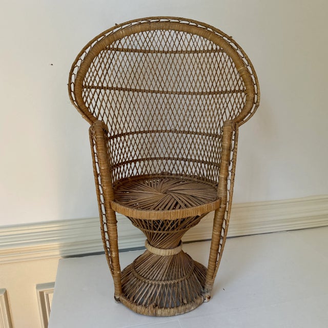 A child size peacock chair. Would probably max out at first grade.