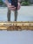 Wood 1940s French Carved Giltwood Mirror For Sale - Image 7 of 12