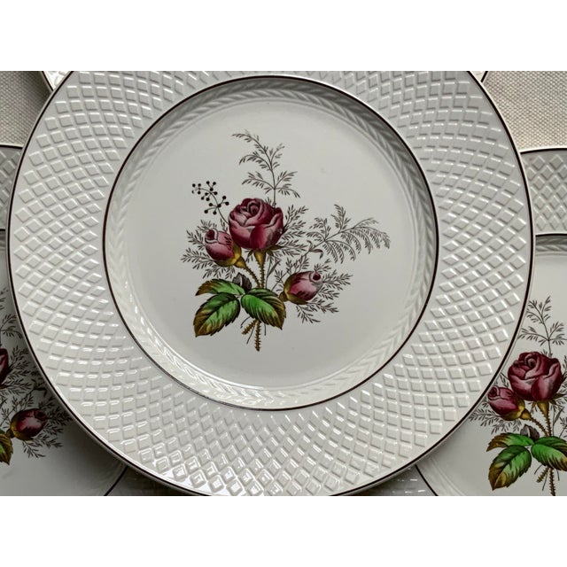 Vintage Copeland Spode Dinner Plates Set of 4 Chairish
