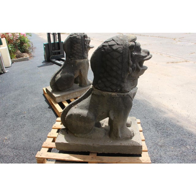 20th Century Foosball Dogs by Louis Guingot, 1890s, Set of 2 For Sale - Image 9 of 11