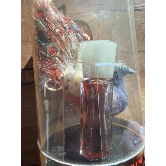 Vintage Max Factor PRIMITIF Peacock Promotional Display Under Dome – Mid-Century For Sale - Image 4 of 5