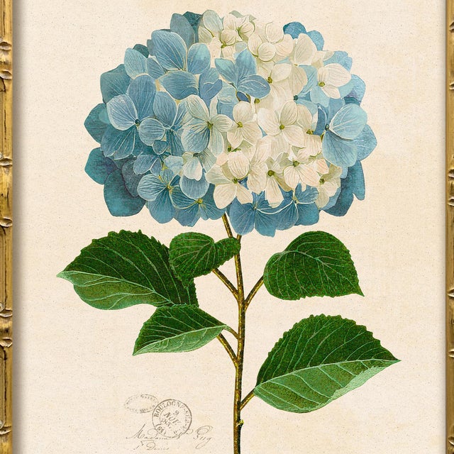Contemporary Reproduction Framed Blue Hydrangea Giclee Print I For Sale - Image 3 of 4