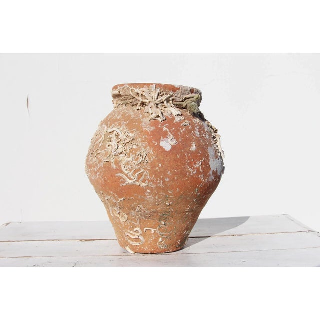 19th Century Antique Terracotta Octopus Trap Undersea Pot For Sale - Image 4 of 13