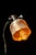 Metal Early 20th Century Art Nouveau Cast Iron Desk Lamp With Frosted Opalescent Stenciled Shade For Sale - Image 7 of 12