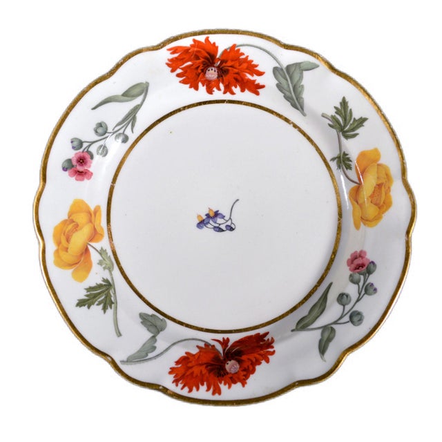 English Flight & Barr Worcester Porcelain Botanical Dessert Plate, Circa 1792–1804 For Sale - Image 3 of 8