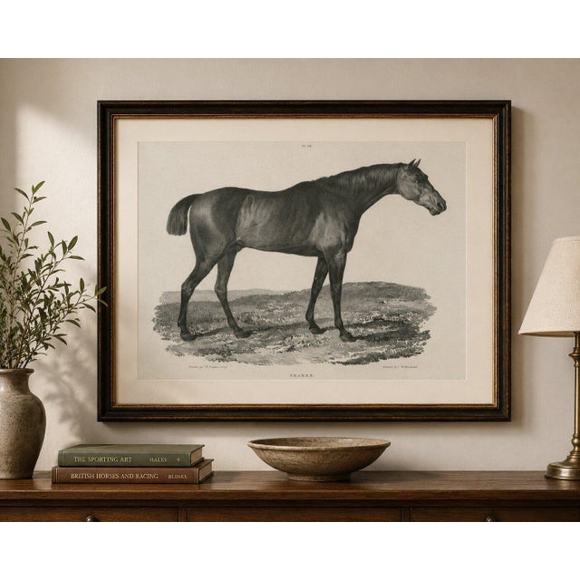 Sharke – antique thoroughbred horse portrait, gauci & hullmandel c.1840 a striking nineteenth-century sporting lithograph...
