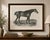 Sharke – antique thoroughbred horse portrait, gauci & hullmandel c.1840 a striking nineteenth-century sporting lithograph...