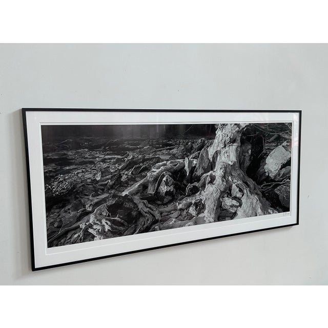 Original Large Print Photograph by Durham, Nc Artist Elliot Blumberg For Sale - Image 4 of 11