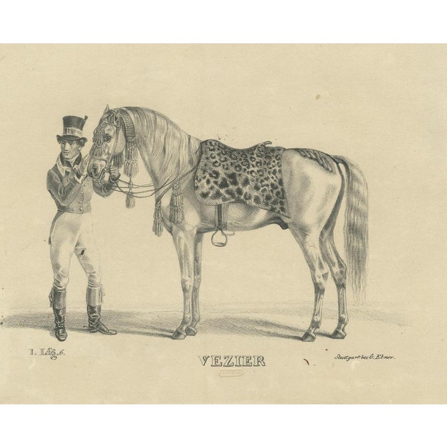 G. Ebner, Arabian Horse Vezier with Groom, Stuttgart 1846, Paper Lithograph For Sale - Image 3 of 9