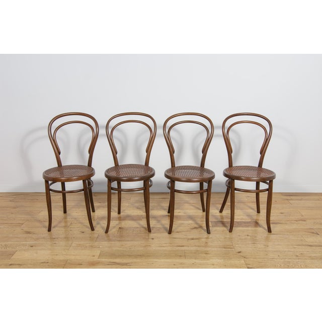 No. 14 Chairs by Michael Thonet for Josef Hoffmann, 1900s, Set of 4 For Sale - Image 6 of 18