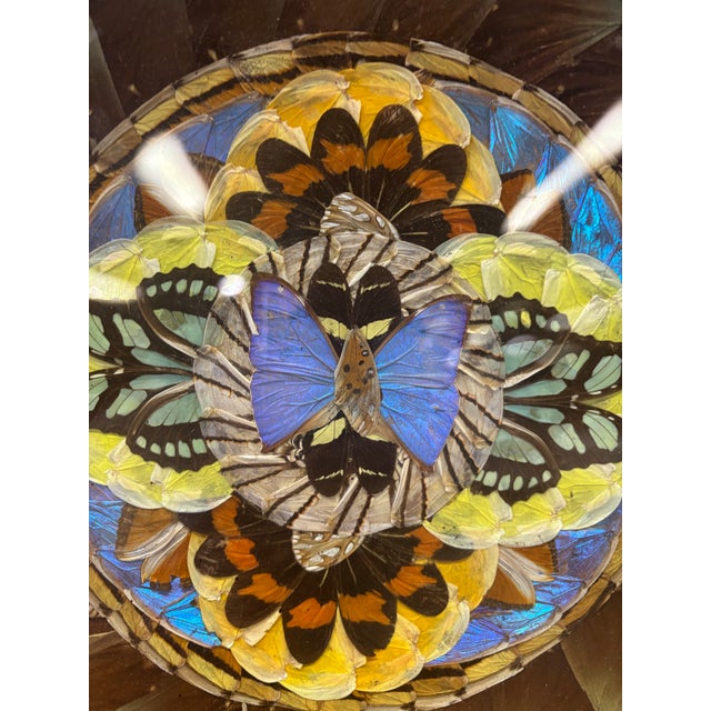 Handcrafted vintage Brazilian butterfly wing tray featuring an intricate mosaic design created from carefully arranged...