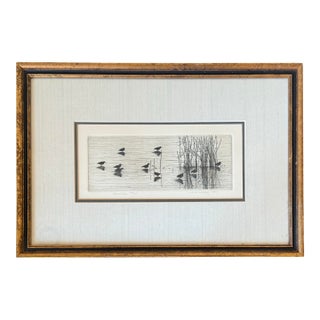1980s Framed Coastal Shorebirds Etching, Signed and Numbered For Sale