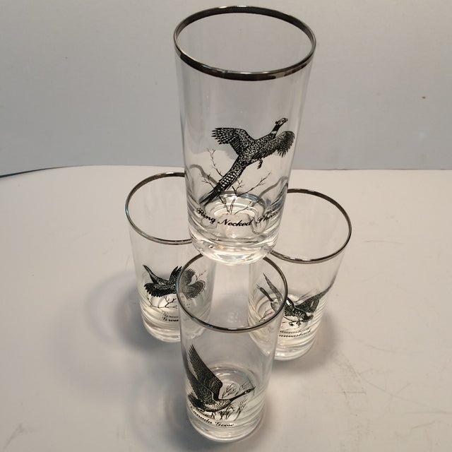 Vintage Silver Rimmed Bird Hunting Glasses Set of 4 Chairish