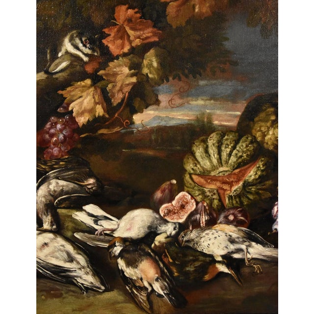 Giovanni Paolo Castelli, Still Life, 1700, Oil on Canvas, Framed For Sale - Image 8 of 16