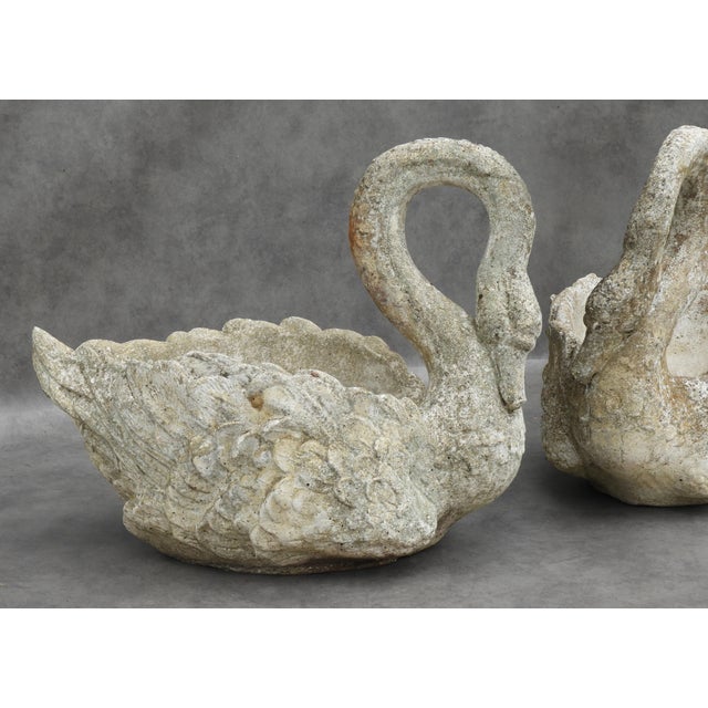 1950s Large French Swan Garden Planters, 1950s, Set of 2 For Sale - Image 5 of 10
