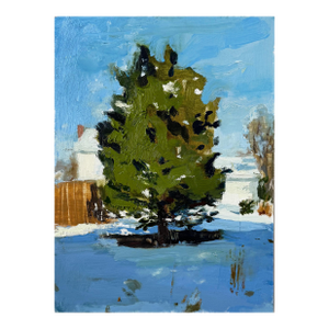 Suburb Spruce, Contemporary Oil Landscape Painting