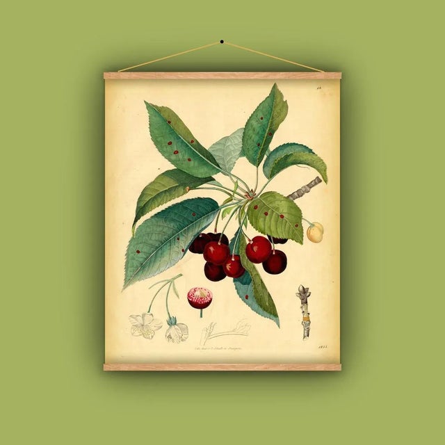 Reproduction of a Cherry Wall Hanging For Sale - Image 4 of 5