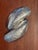 Silver Vintage Silver Mussel Salt and Pepper Holder With Spoons For Sale - Image 8 of 11